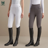 春夏女款 359 马术马裤 骑马裤 Hillman 179 高腰马术裤 马术裤 756