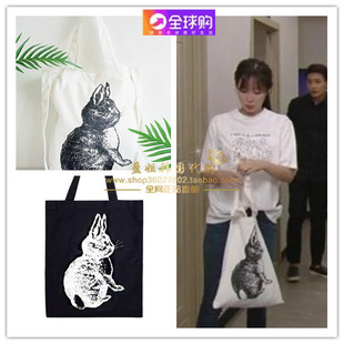 海外韩国代购木槿花开了林秀香同款2色兔子帆布单肩手提包