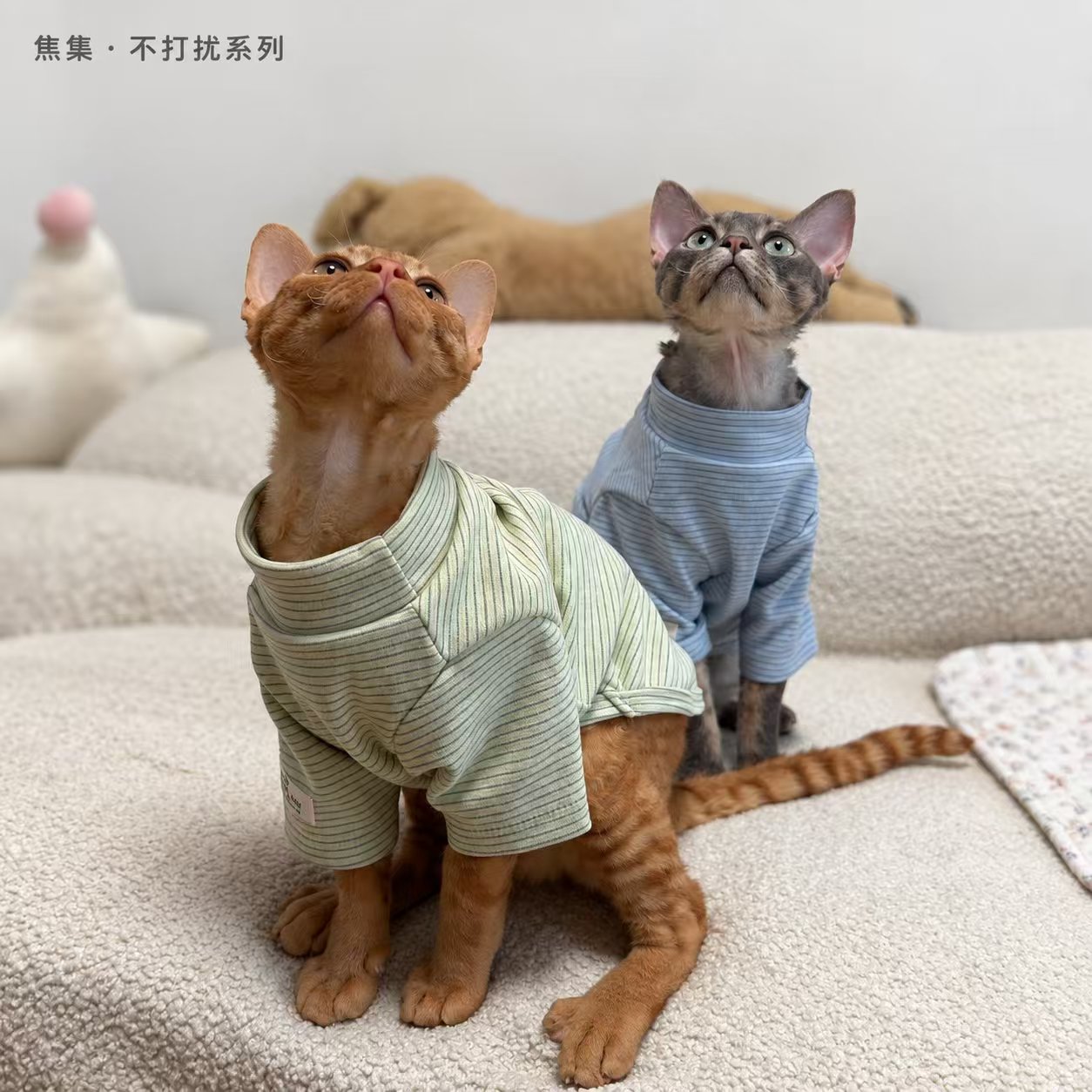 猫咪衣服秋冬四腿高领打底衫