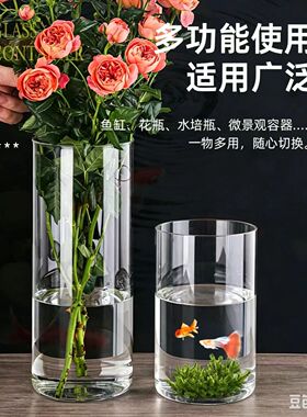 高硼硅直筒玻璃花瓶家居装饰摆件