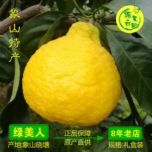 象山绿美人柑橘新鲜孕妇水果清甜无籽桔子振云果园5斤江浙沪包邮