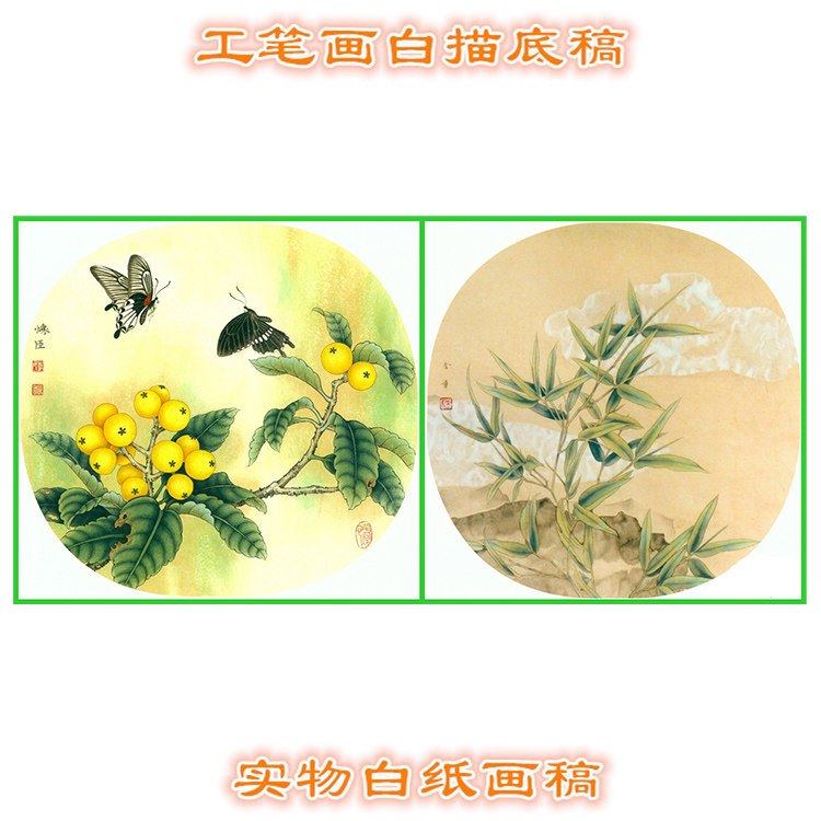 工笔画白描底稿圆形扇面花鸟枇杷竹子步骤图 上色说明