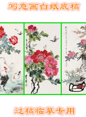 MD21国画牡丹写意画底稿画稿过稿临摹用条幅花鸟