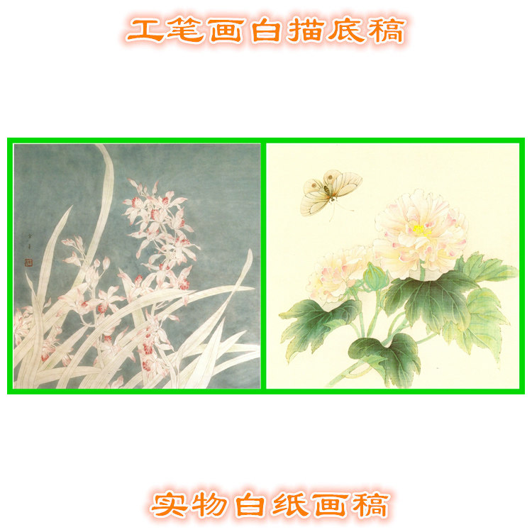 11P37兰花芙蓉工笔画白描底稿实物线描国画稿小品斗方