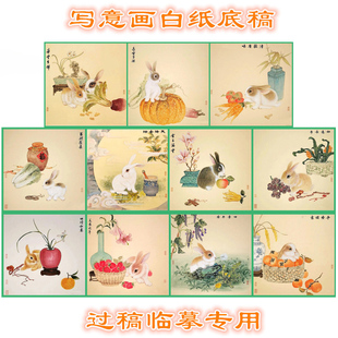 生肖兔子写意画白描底稿线描画稿过稿临摹用斗方