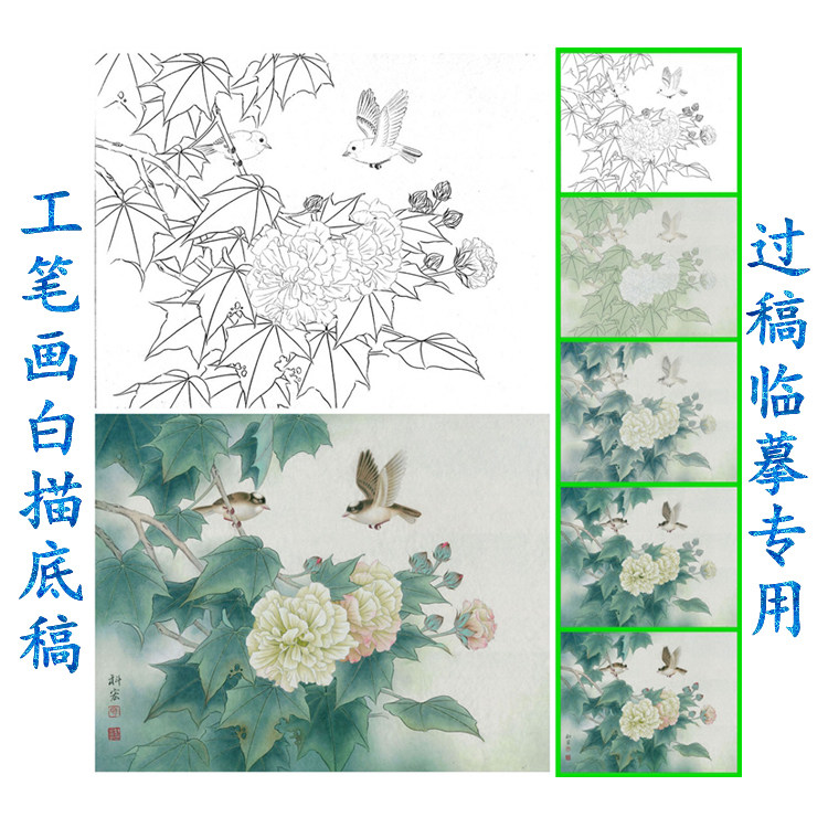 b6工笔画白描底稿花卉花鸟国画线描稿芙蓉有步骤图