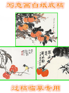 事事如意柿子瓜果写意画白描