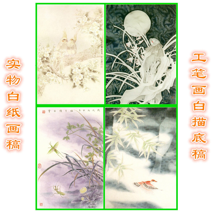 11P34兰花螳螂蚂蚱竹子雪景鹦鹉月夜工笔画白描底稿条幅实物线描
