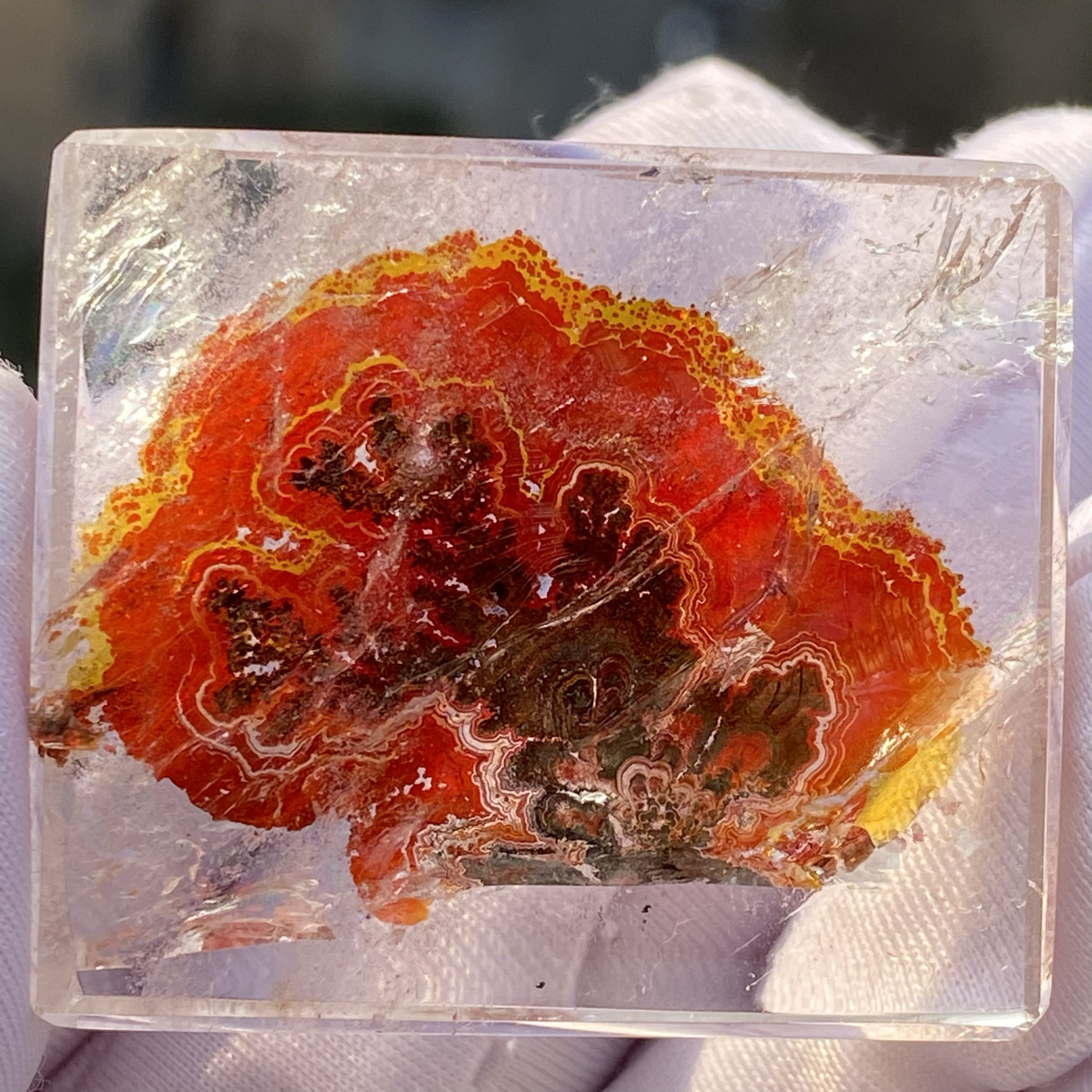 天然水晶包裹体七彩红胶花吊坠男女款胶花挂坠珊瑚树饰品毛衣链