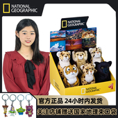 中国国家地理毛绒玩具正品 官方仿真老虎狮子雪豹黑豹赠束口袋
