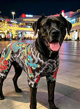 宠物服装狗狗衣服纹身衣杜宾冠毛卡斯罗四脚衣个性搞笑四季通用潮
