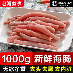 鲜活海肠新鲜海肠皮冷冻去内脏海肠子大连海肠青岛海肠捞饭商用