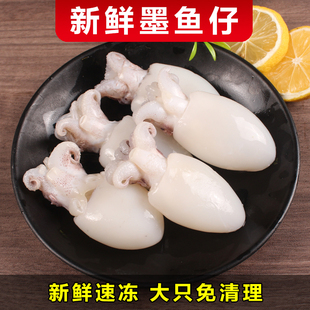 新鲜墨鱼仔鲜活冷冻去皮去内脏免清理小目鱼捞汁小乌贼目商用海鲜