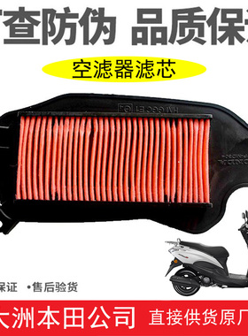 新大洲本田摩托车NS125D迪奥SDH125T-35-38-41防灰省油空滤器滤芯
