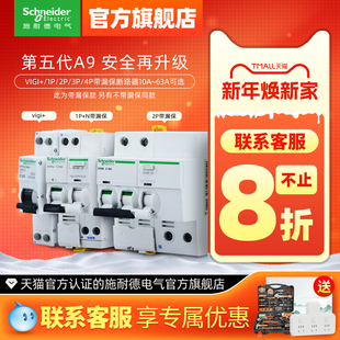 施耐德空气开关带漏电保护器2P空开开关1P断路器3P家用63A电闸