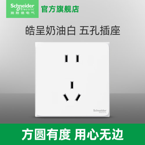 施耐德新国标正五孔白色