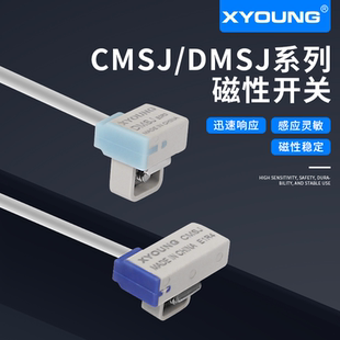 CMSJ 感应器DMSJ 020气缸电子式 传感器开关 020气动磁性开关磁簧式
