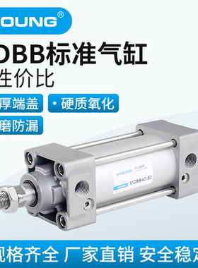 XYOUNG气动MDBB拉杆式标准气缸MBB80-75标准带磁气缸MDBB80-150