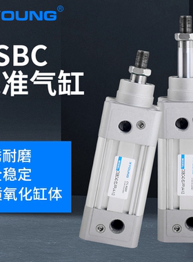 XYOUNG气动欧洲ISO6431标准气缸DSBC50-175-PPV-A-N3带磁标准气缸