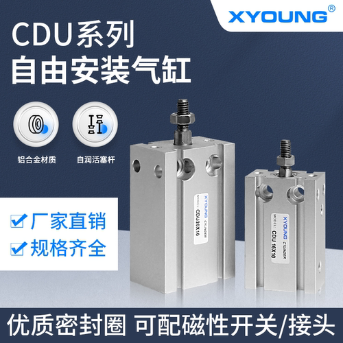 XYOUNG多位置自由安装气缸CDU