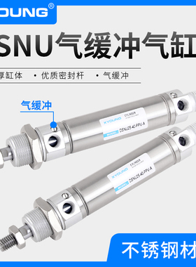 XYOUNG气动DSNU气缓冲迷你气缸DSNU25-50-PPV-A不锈钢迷你气缸