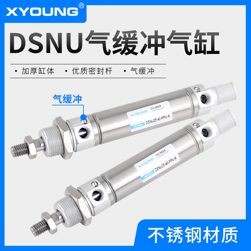 XYOUNG气缓冲不锈钢迷你气缸DSNU