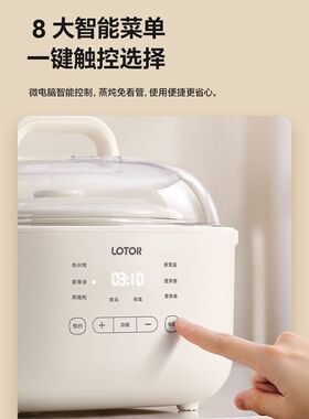 LOTOR D31徕多电炖锅家用智能陶瓷隔水炖煲汤锅婴儿辅食锅电炖盅