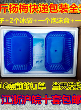 杨梅快递专用包装箱冷藏航空