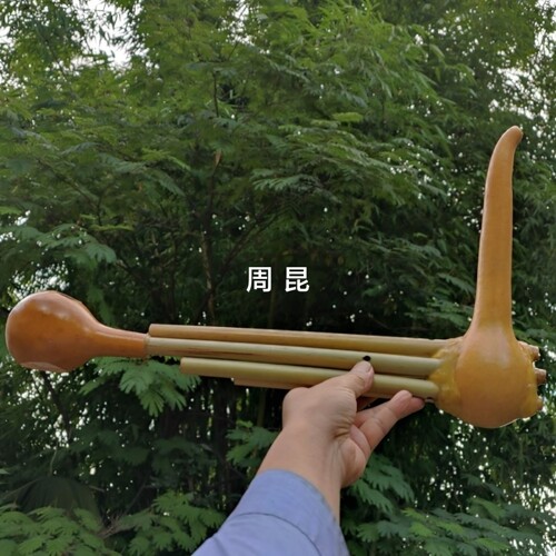 芦笙葫芦笙五管双调铜舌云南乐器