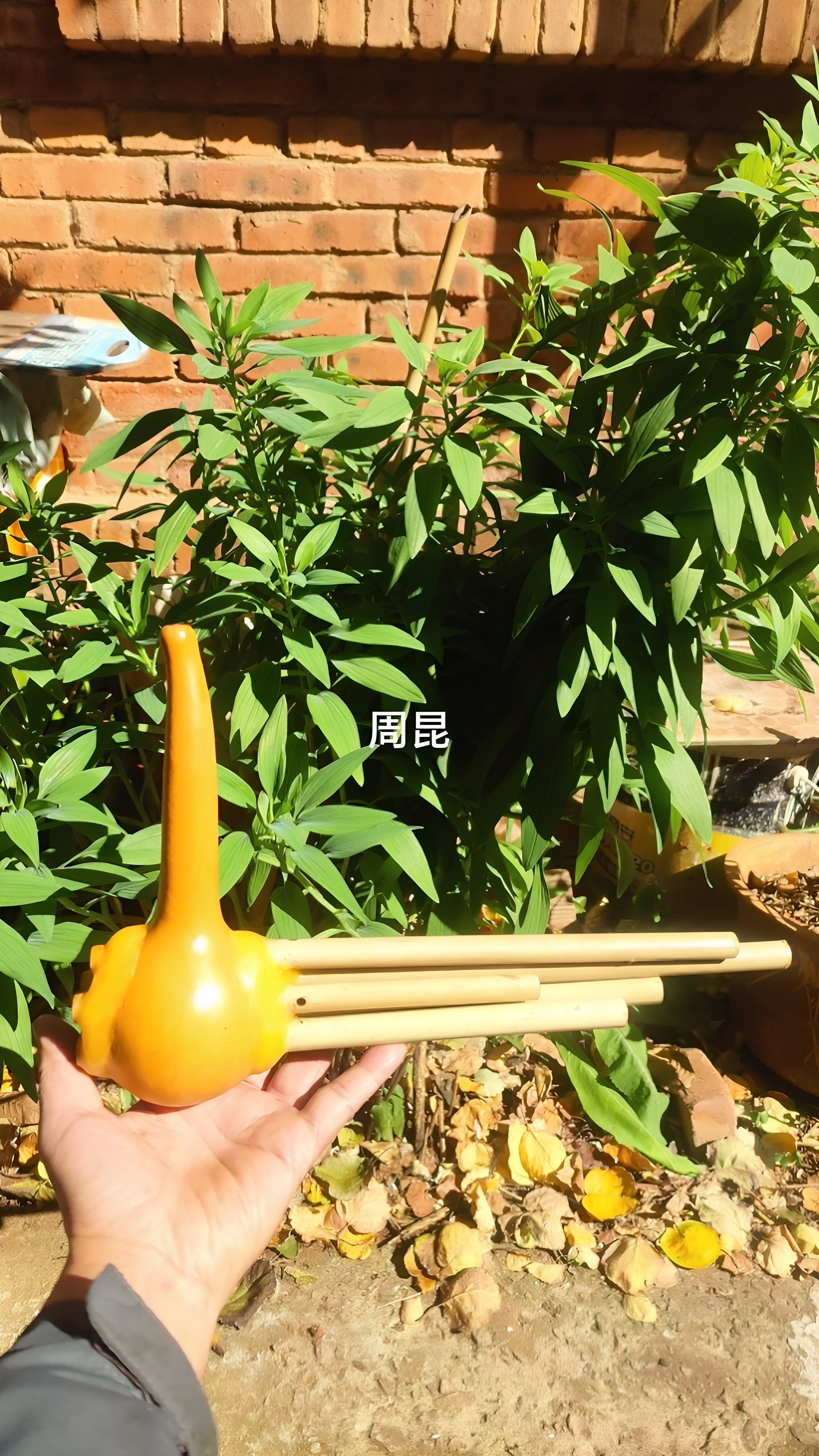 葫芦笙一尺二墨江镇源县五管彝族哈尼族民间非遗厂家直销
