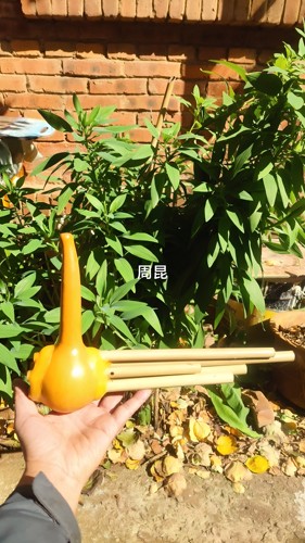 葫芦笙10年老店五管彝族周昆芦笙
