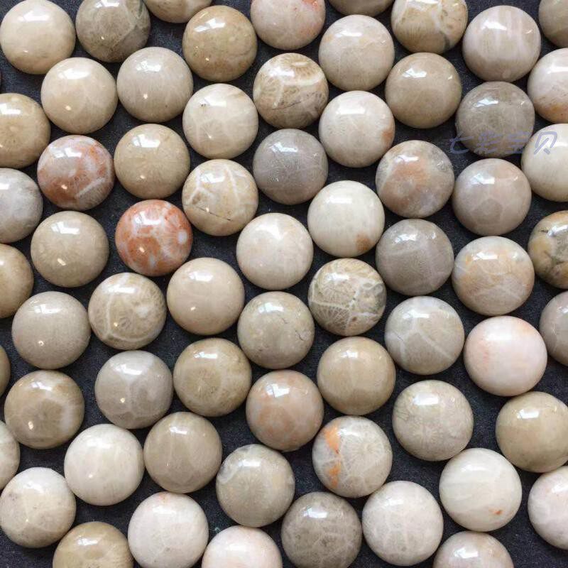 硅化珊瑚化石b04c-4 石英质玉 硅化玉 可选带参数 国赛考察标本