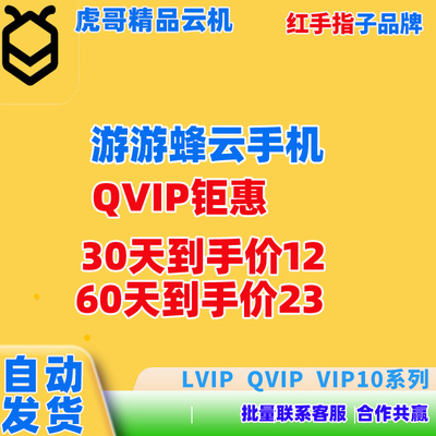 游游蜂云手机激活码月卡