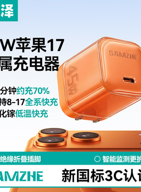 山泽苹果17充电头45W氮化镓充电器适用iPhone17ProMax16e/15/iPad手机PD40/30W快充头Type-C数据线插头