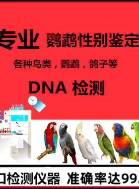 鹦鹉验卡玄凤牡丹DNA检测公母小鸟鸽子验公母雏鸟鹦鹉性别鉴定