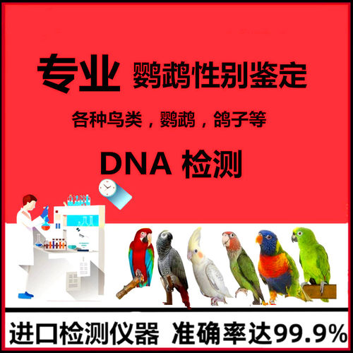鹦鹉验卡玄凤牡丹DNA检测公母小鸟鸽子验公母雏鸟鹦鹉性别鉴定