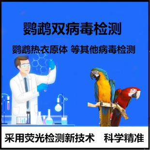 鹦鹉问诊双病毒检测鹦鹉热衣原体沙门氏菌毛滴虫鉴定鸟DNA验卡
