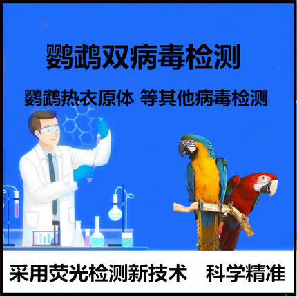 鹦鹉问诊双病毒检测鹦鹉热衣原体沙门氏菌毛滴虫鉴定鸟DNA验卡
