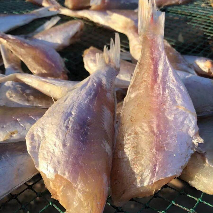 湛江特产渔民自晒咸鱼干海味干货红三金丝鱼红衫鱼土特产500g包邮
