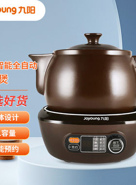 九阳煎药壶中药壶熬药锅养生壶4L 陶瓷智能药膳煲家用 DGD4002BQ