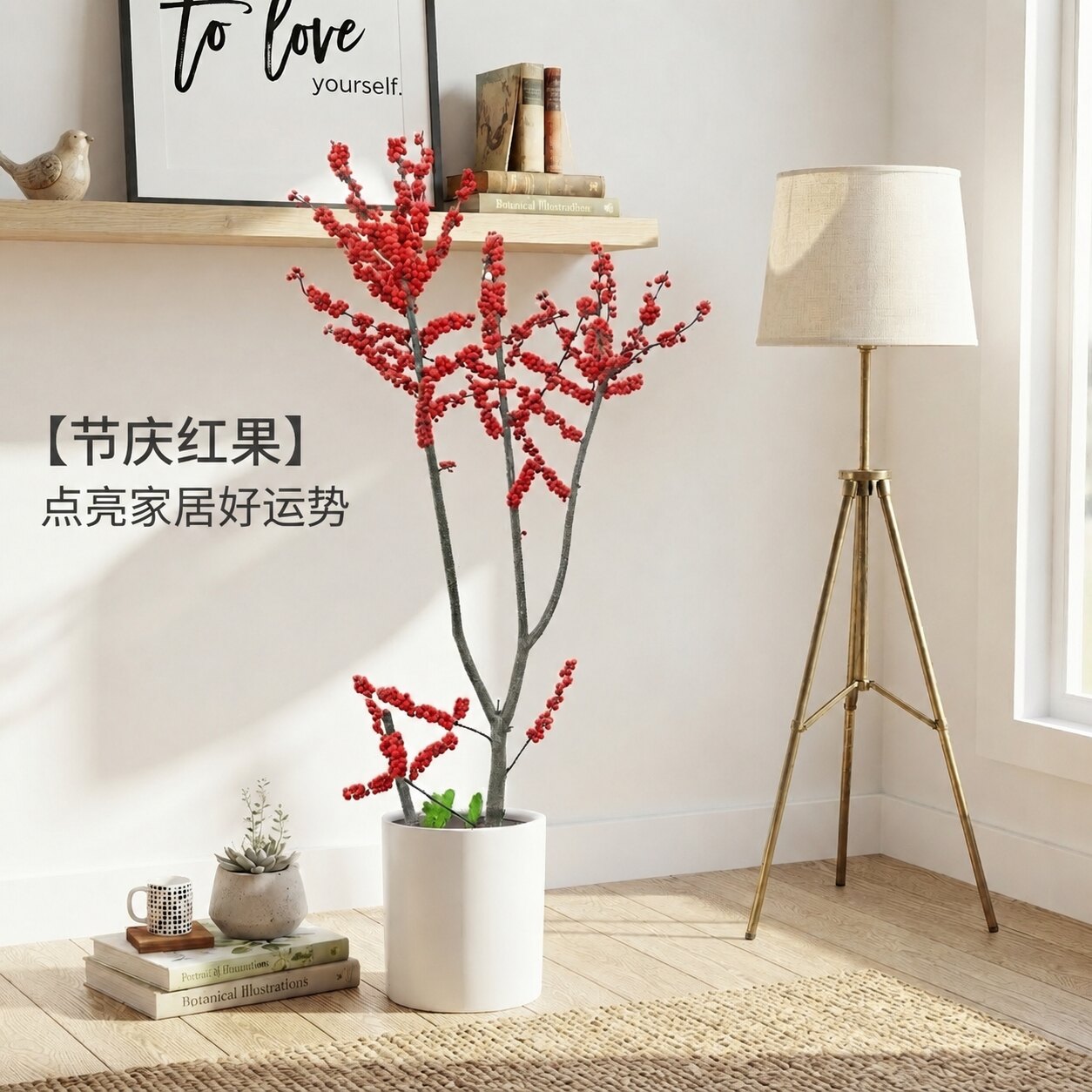进口北美冬青盆栽红果冬青盆景