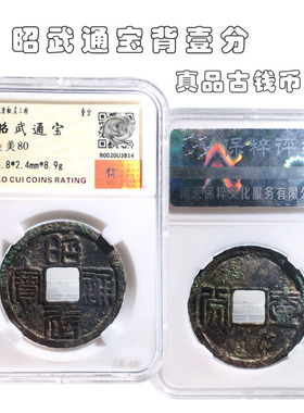 保粹评级昭武通宝背壹分美品