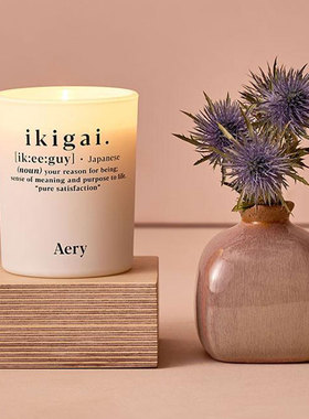 进口AERY香薰蜡烛卧室房间持久自然植物精油礼物香氛新年礼物