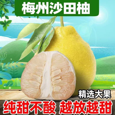 梅州沙田柚梅县金柚梅州红心柚