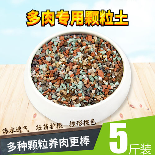 多肉经济装发财树肥料纯颗粒土