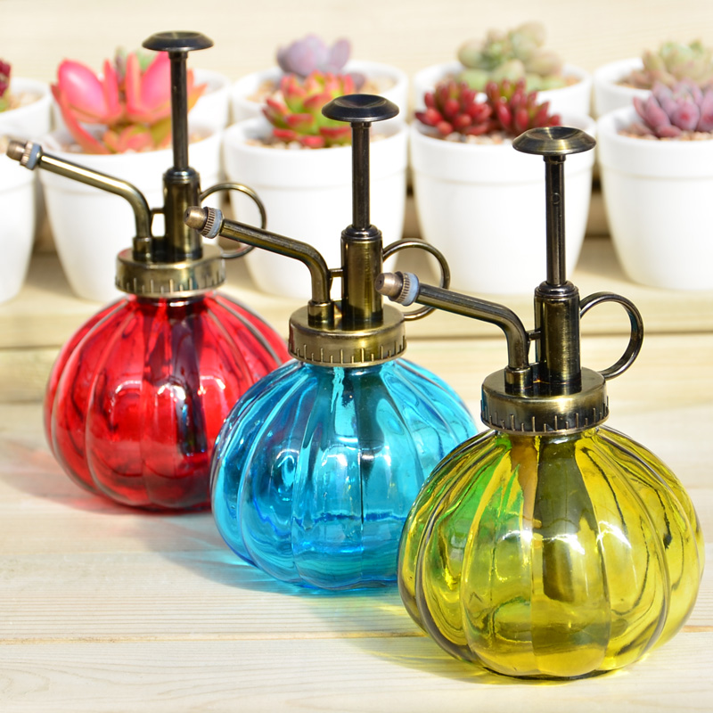 园艺工具糖果色喷壶手压式多肉