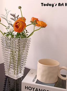 现代北欧设计玻璃花瓶民宿客厅插花餐桌鲜花透明花器高档家居摆件