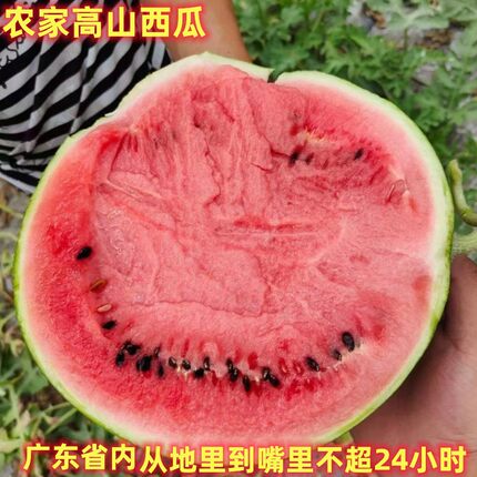 广东水果西瓜新鲜农家自种高山泉水甜瓜带籽老品种清甜好吃的8斤