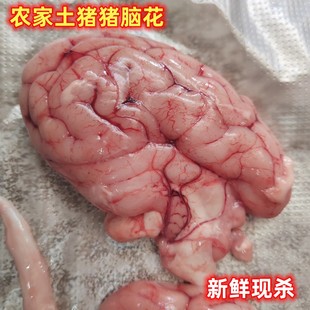 顺丰新鲜农家大土猪肝猪血猪脑猪大肠可爆炒红烧干㶽大肠现杀猪肉