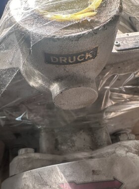 议价德国 德鲁克 DRUCK Type WP150 Series 1000915828 ID3